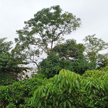 Green Space Homestay Ninh Binh Exterior foto